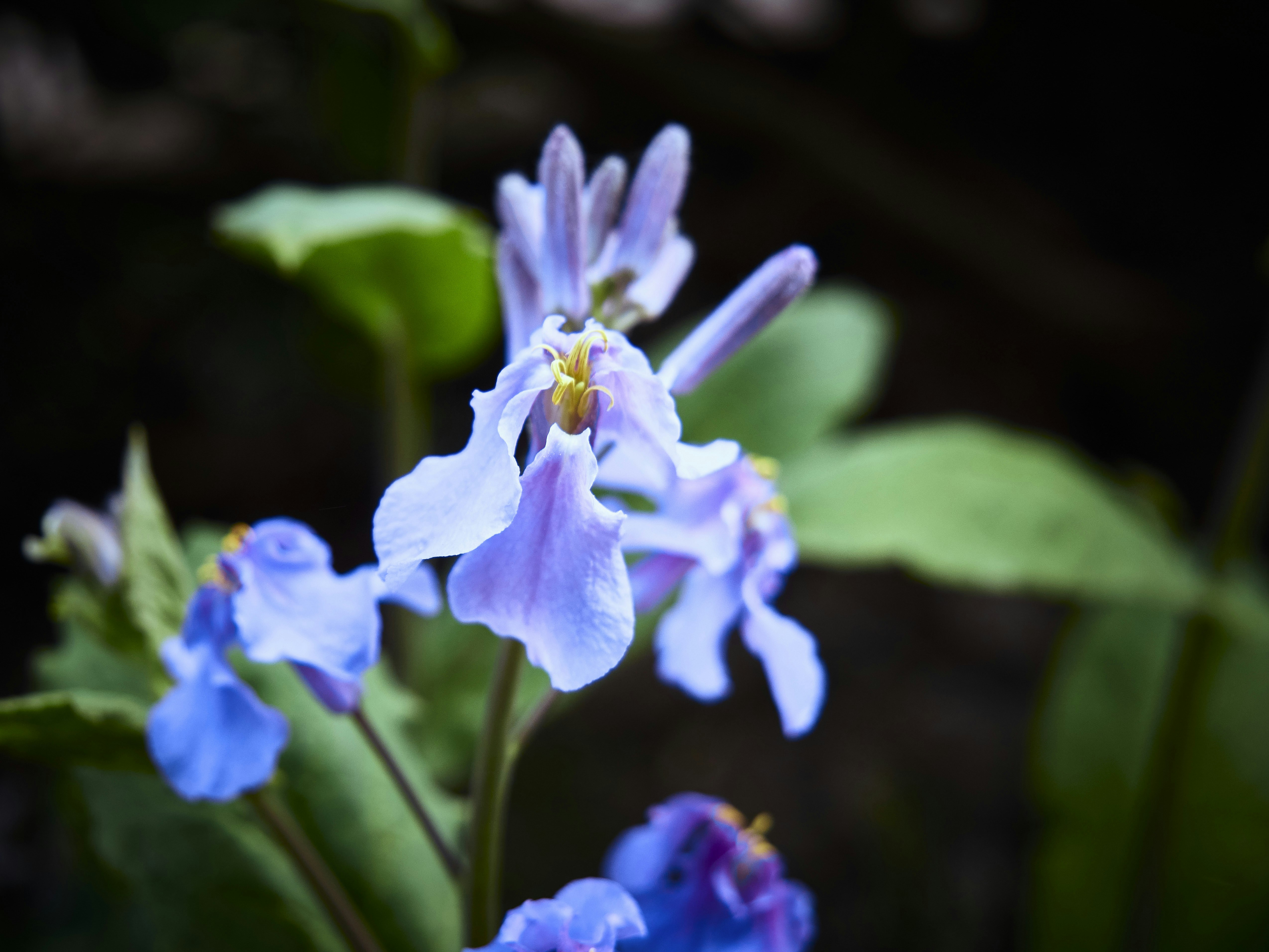 Photo by xiazheng1995