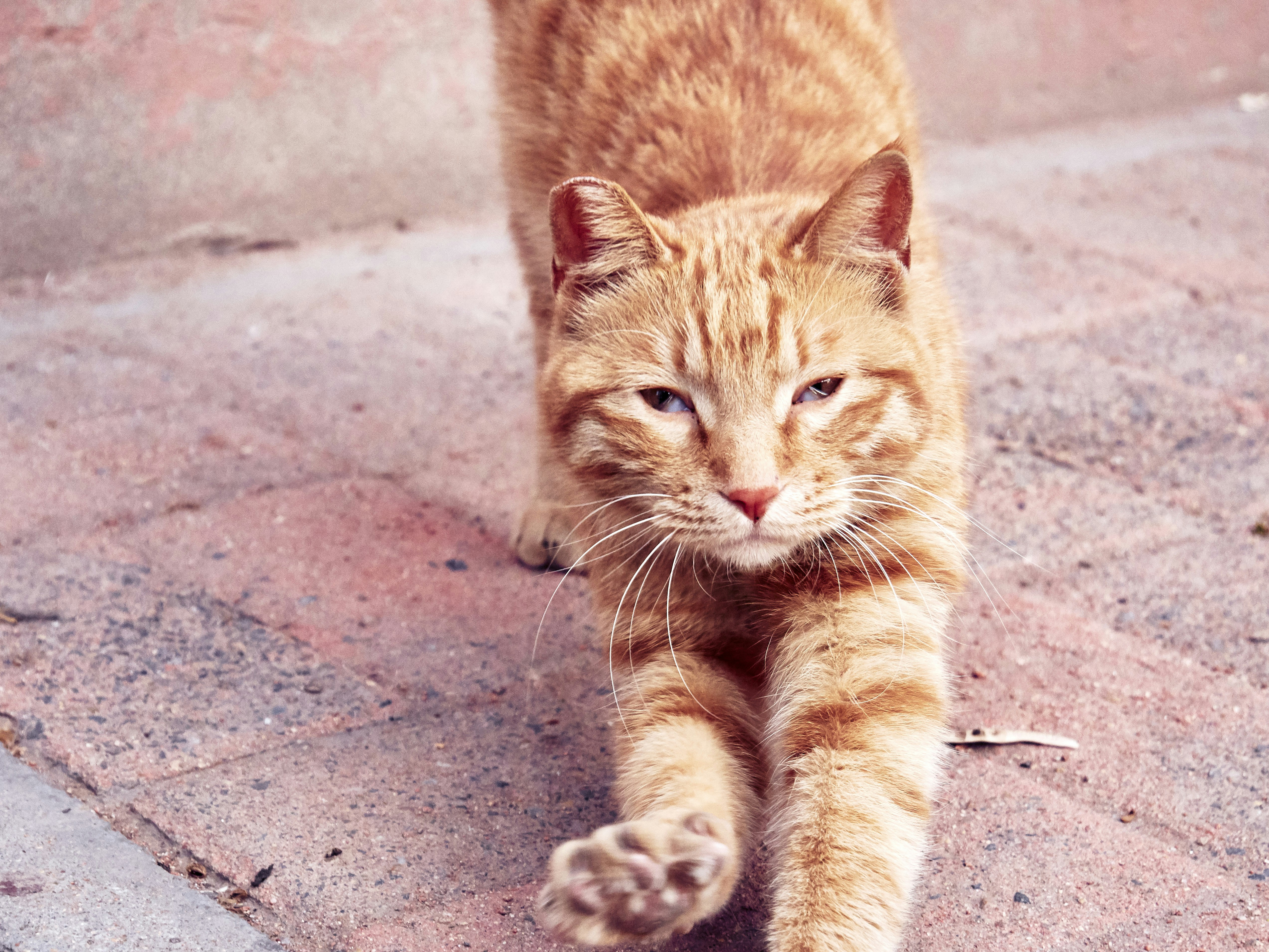 Photo by xiazheng1995