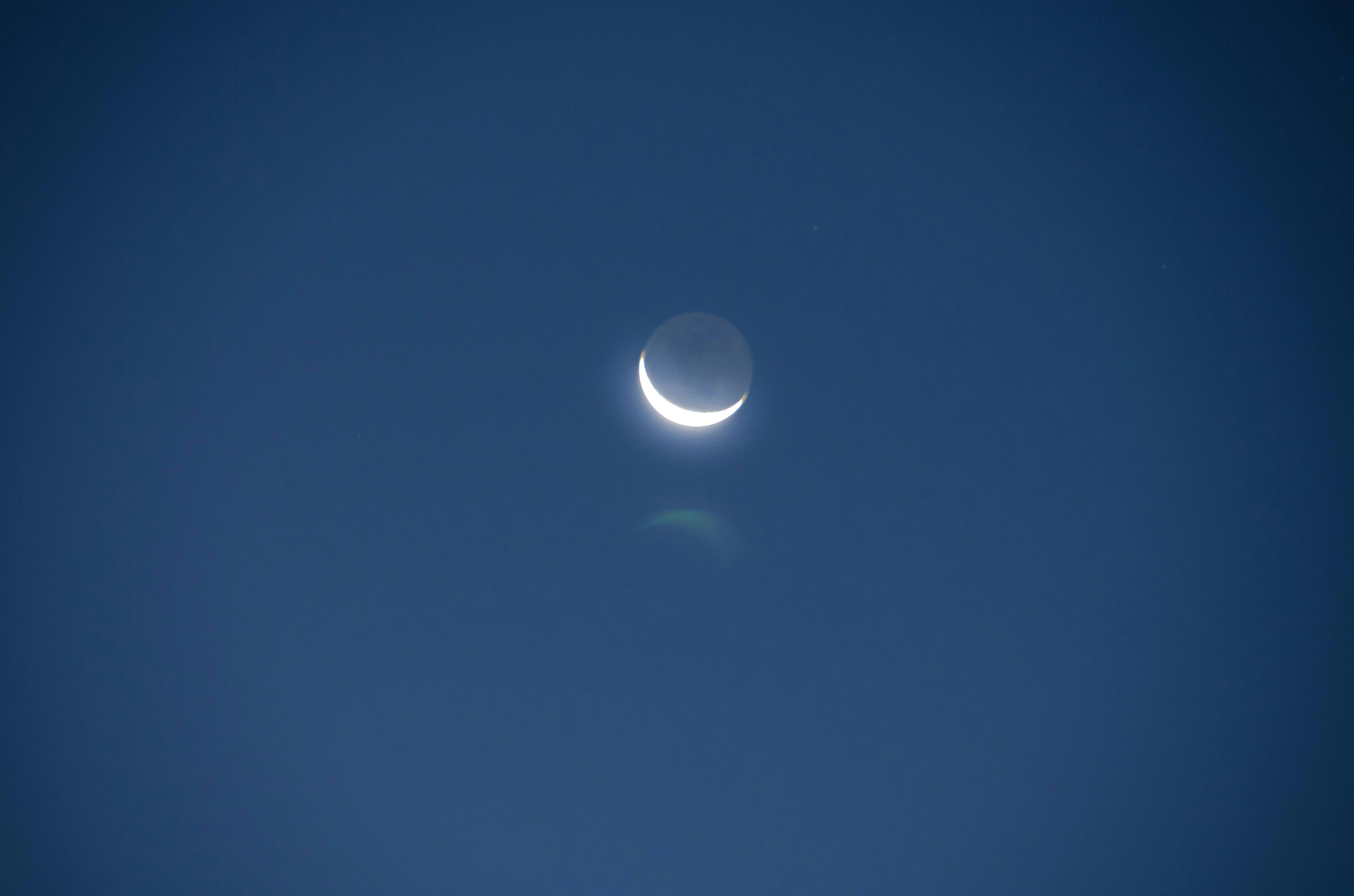 Photo by suspicious_link