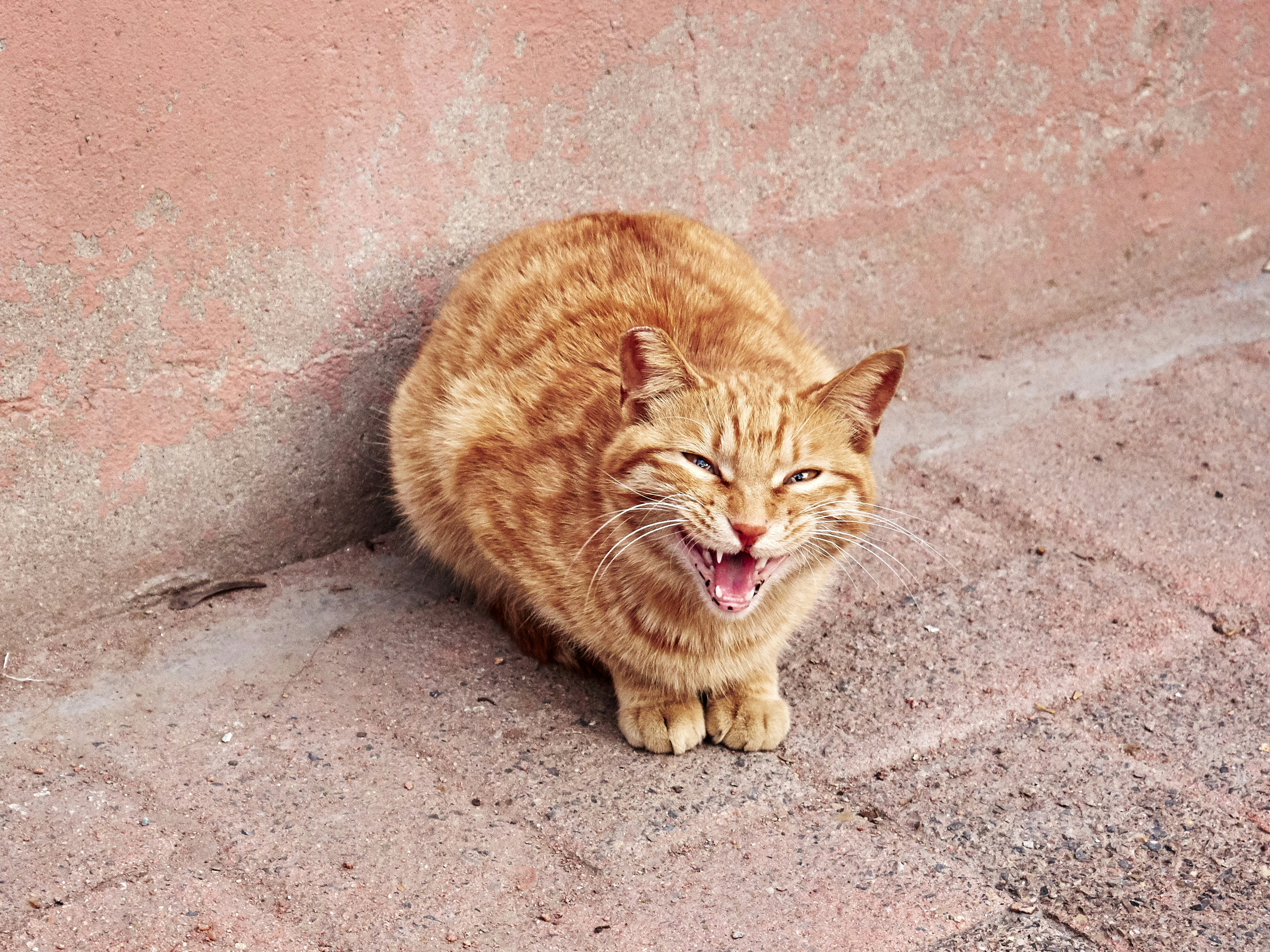 Photo by xiazheng1995