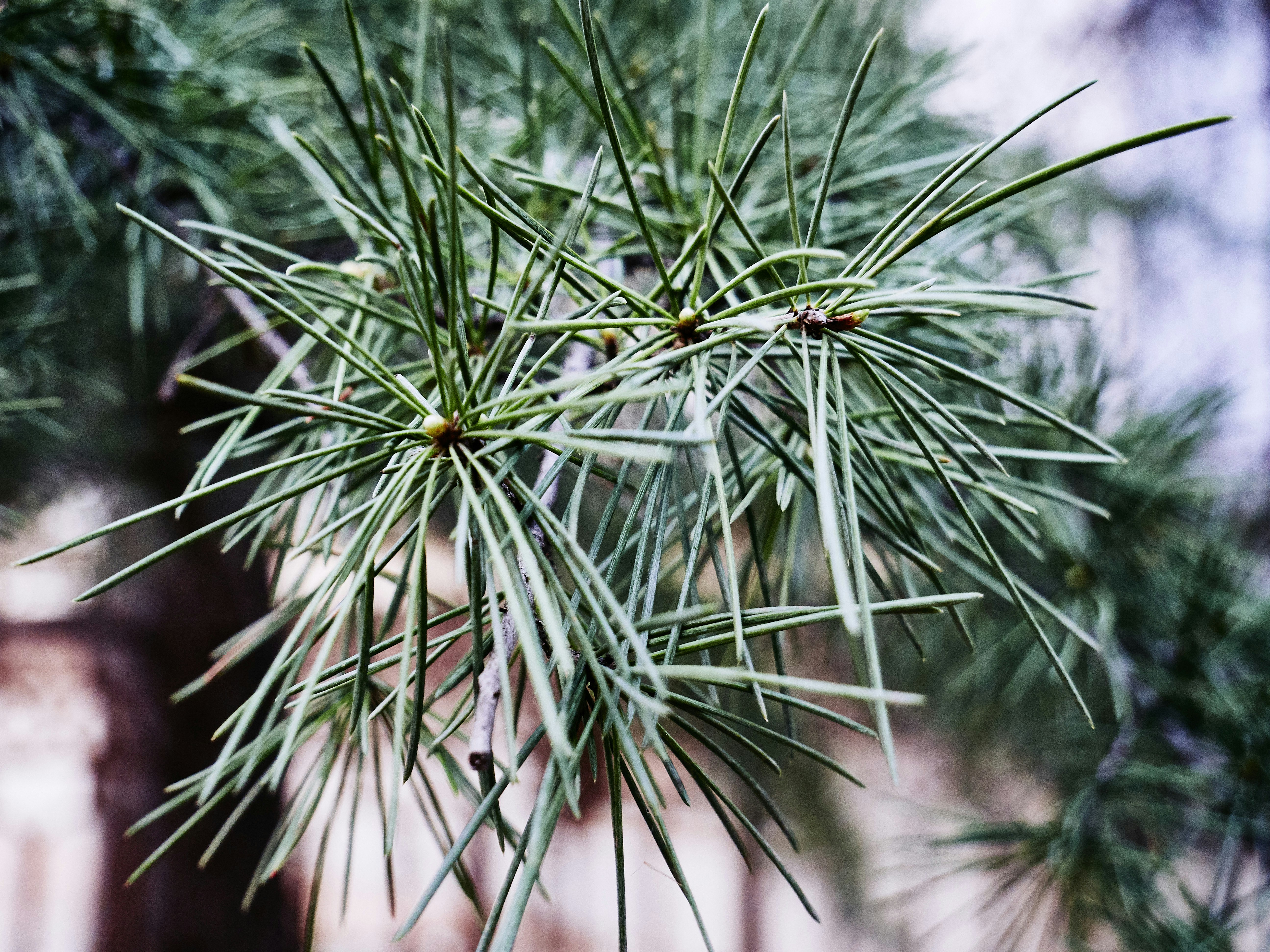 Photo by xiazheng1995