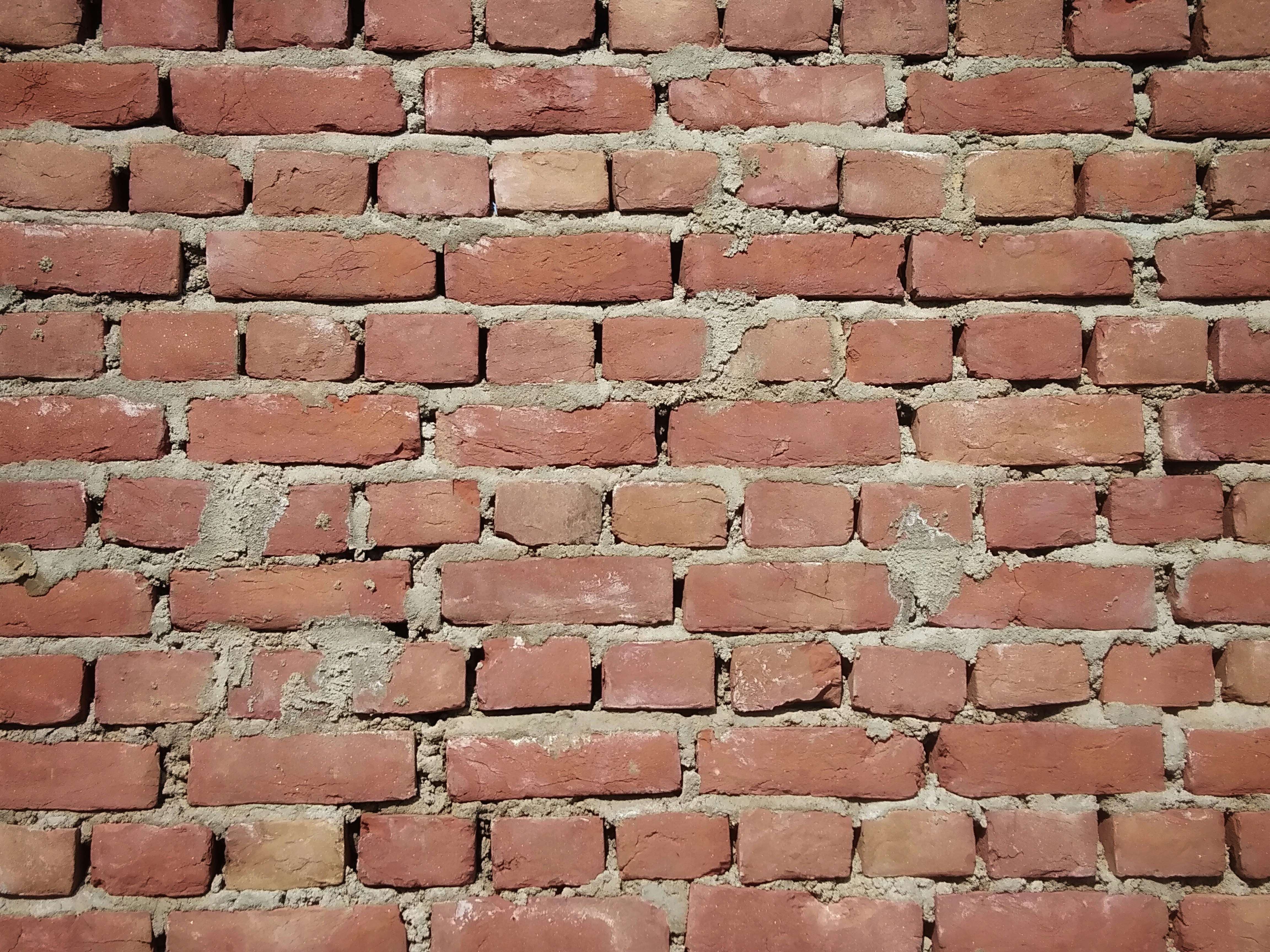 Red brick wall construction close-up, warm tones, professional masonry work