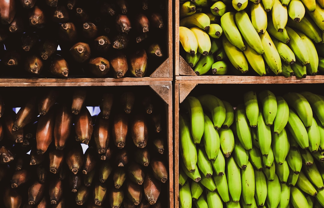 green and yellow banana fruits