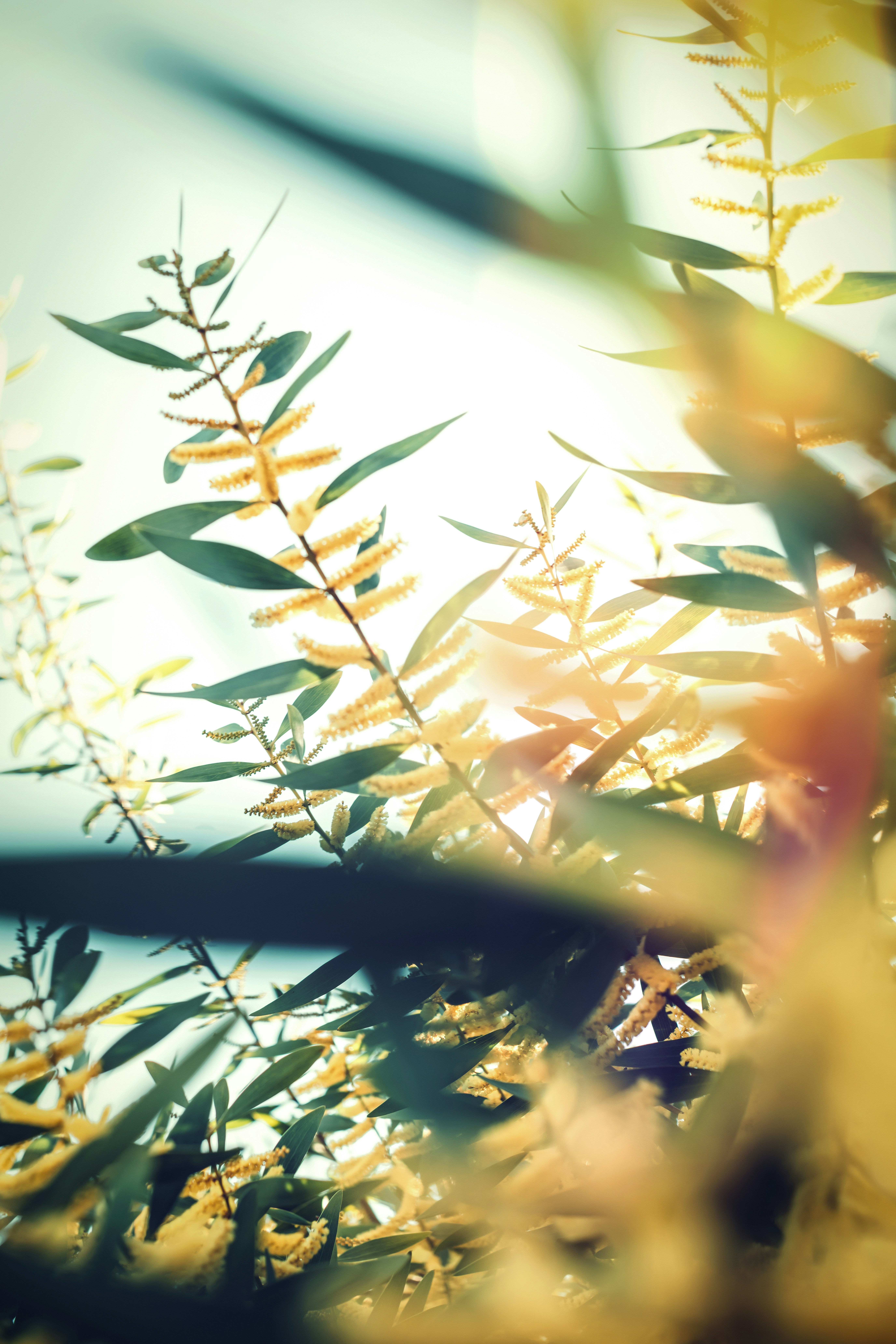 Photo by timmossholder