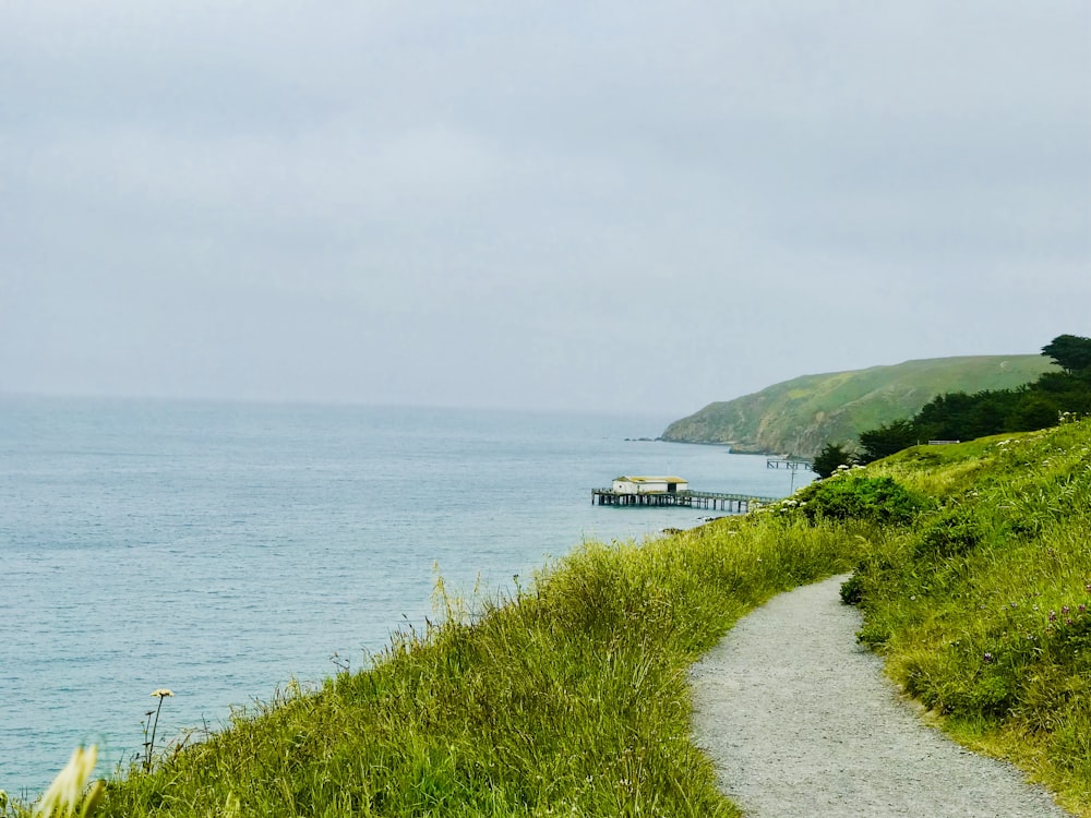 weißes und blaues Boot tagsüber auf See