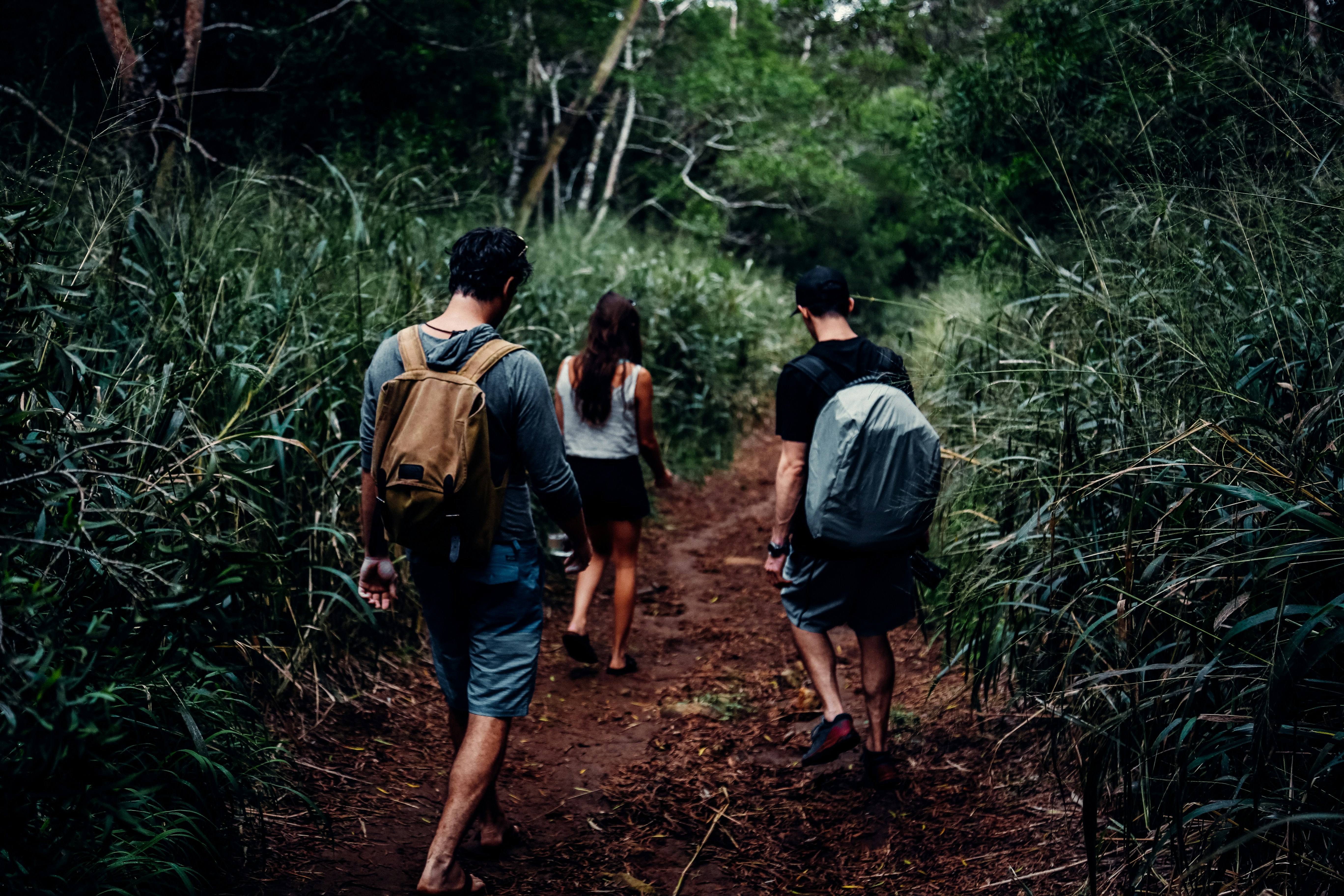 Hiking with friends exploring in Hawaii