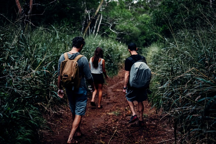 JOHN GETS STUCK IN JUNGLE.