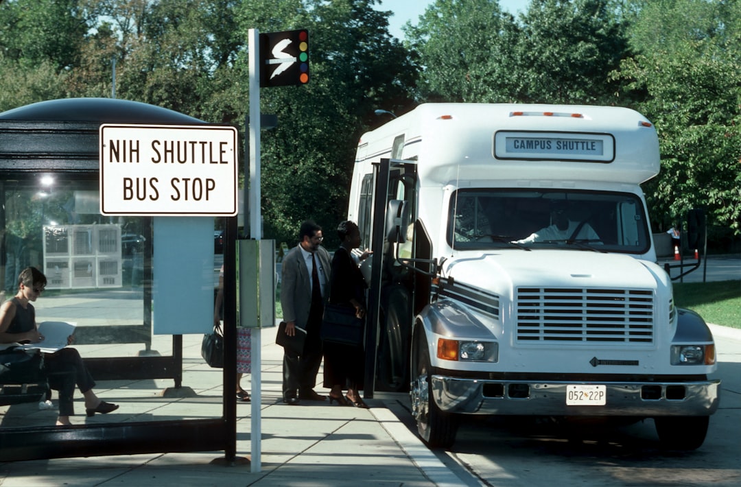 white and black bus on road during daytime