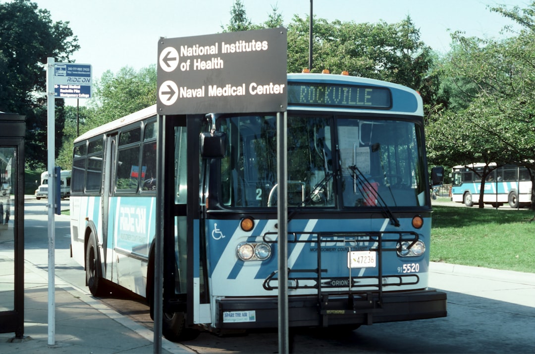 white and blue bus on road during daytime