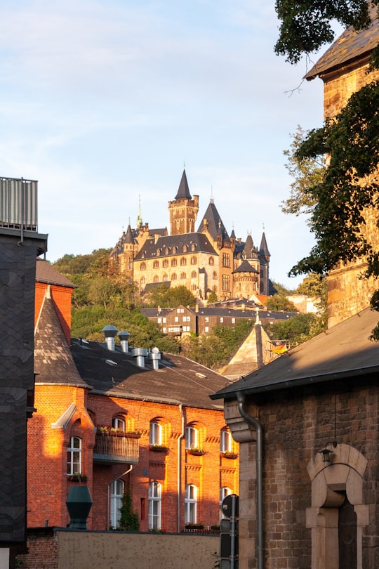 brown and white concrete building during daytime in Schloss Wernigerode Germany