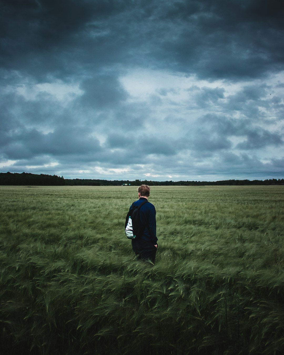 man in blue jacket standing on green grass field under gray clouds during daytime