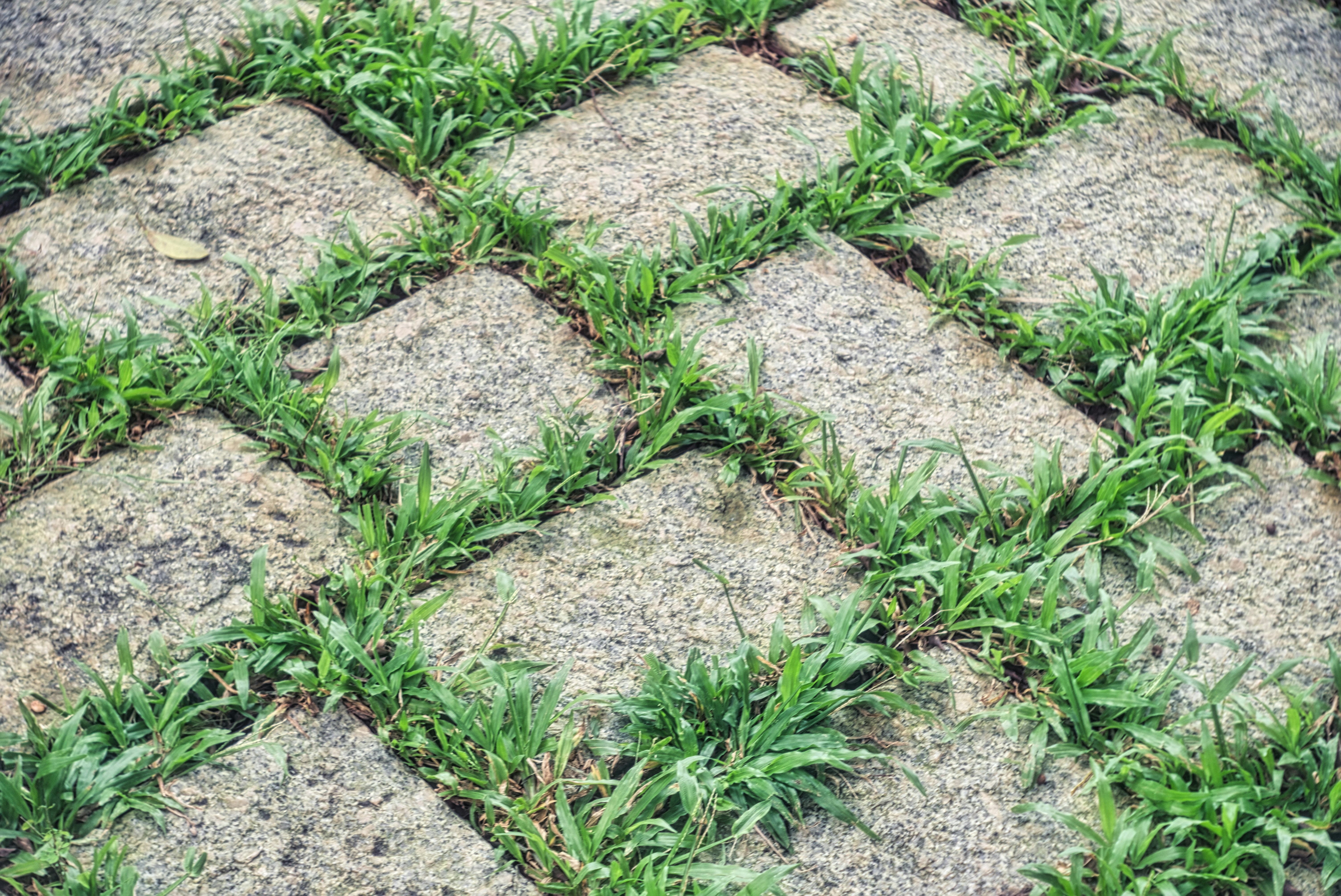 Photo by thomaskinto