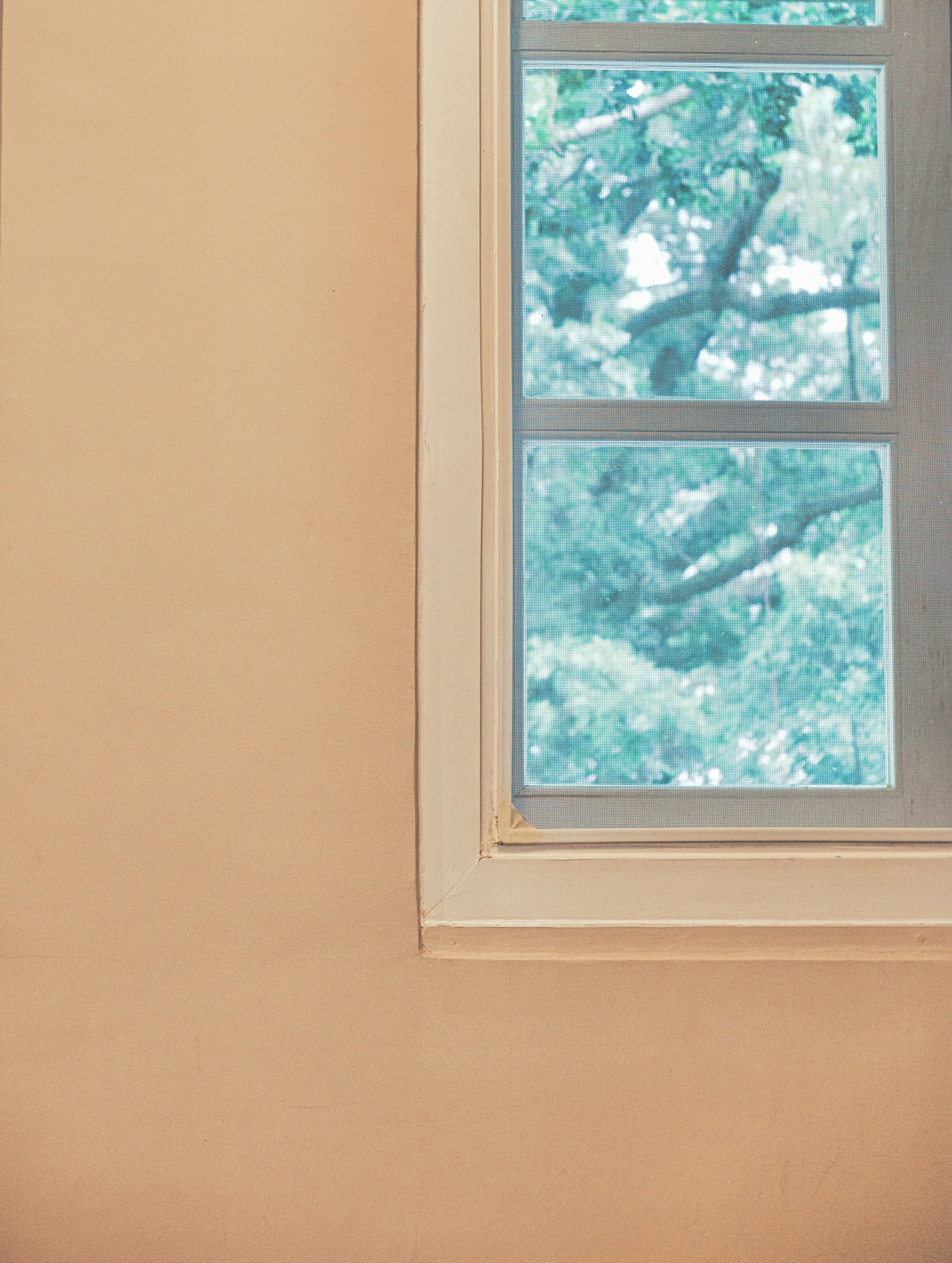 Photo by thomaskinto