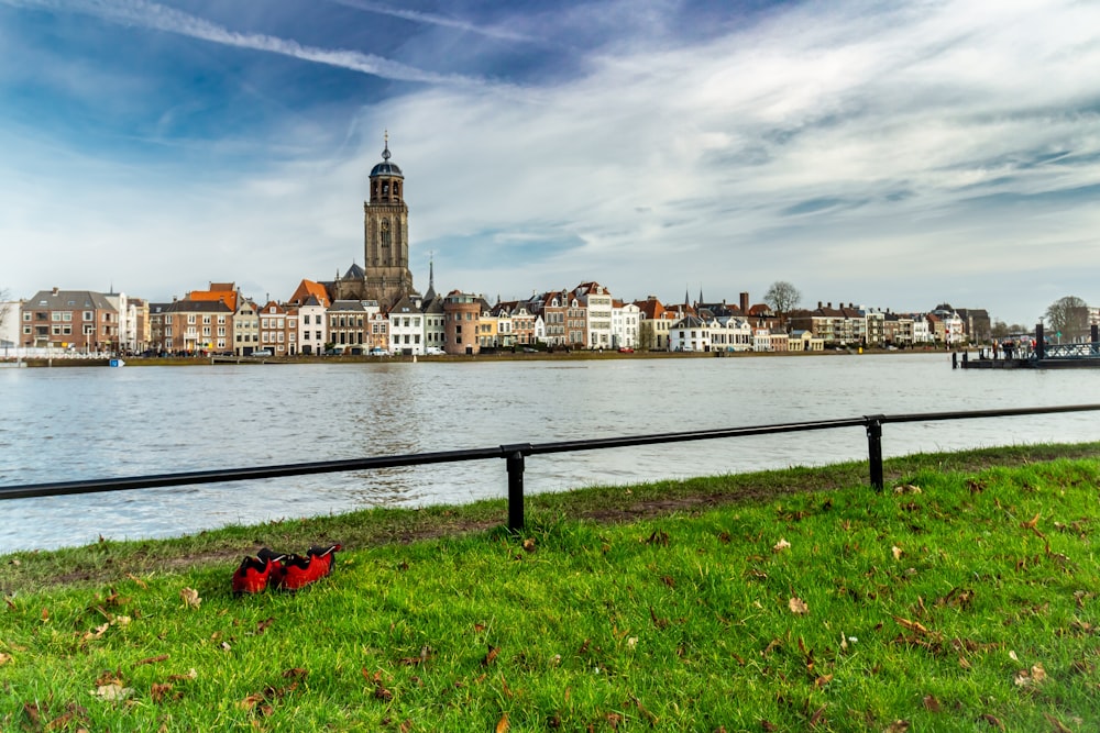 city skyline near body of water under blue sky during daytime