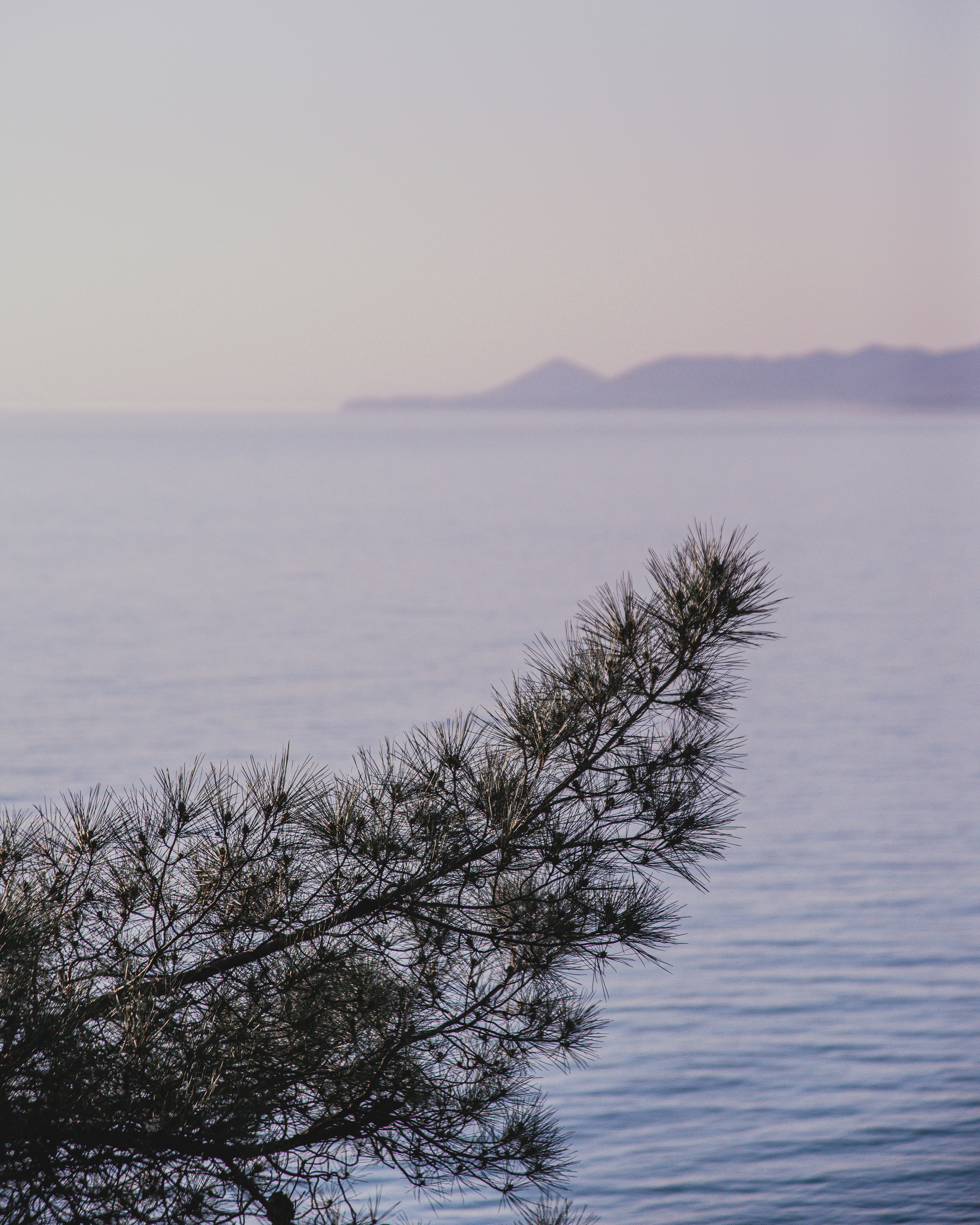 Photo by dentrushtin