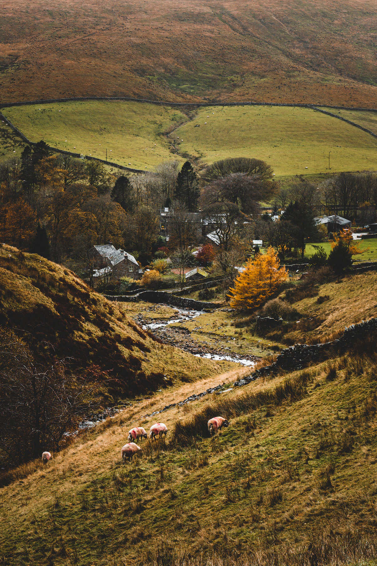 Longridge Hill Farm — photo 3