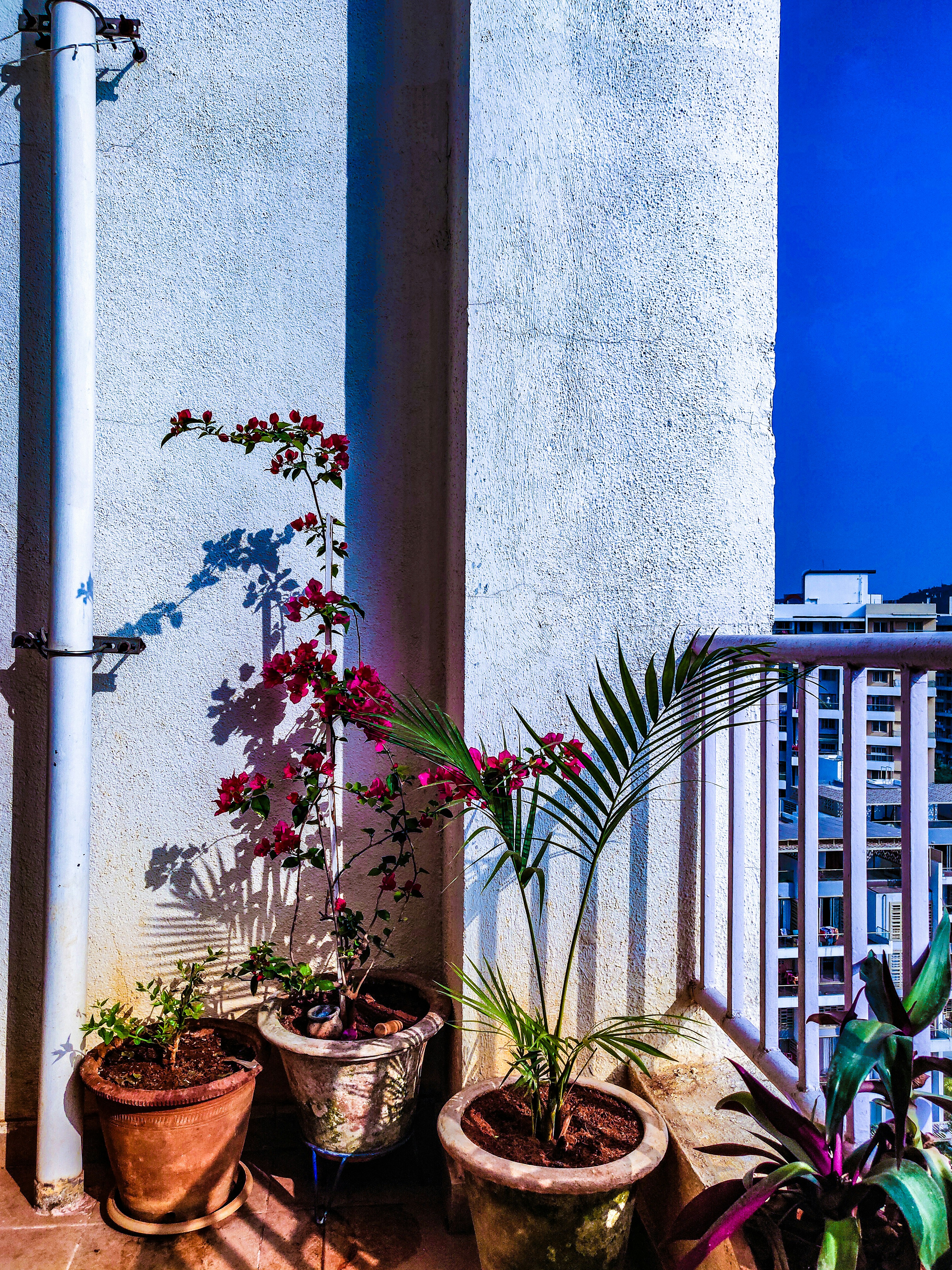 Photo by tanmaypadalikar