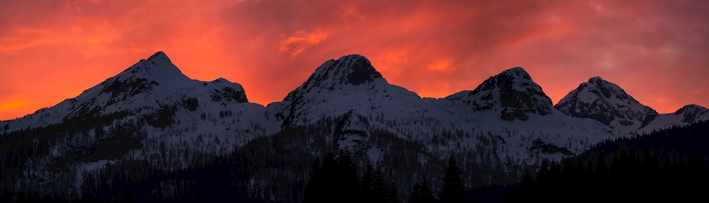 green trees on mountain during sunset