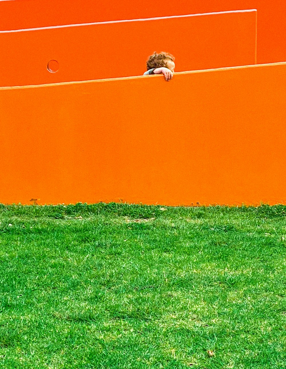 brown bird on green grass field during daytime