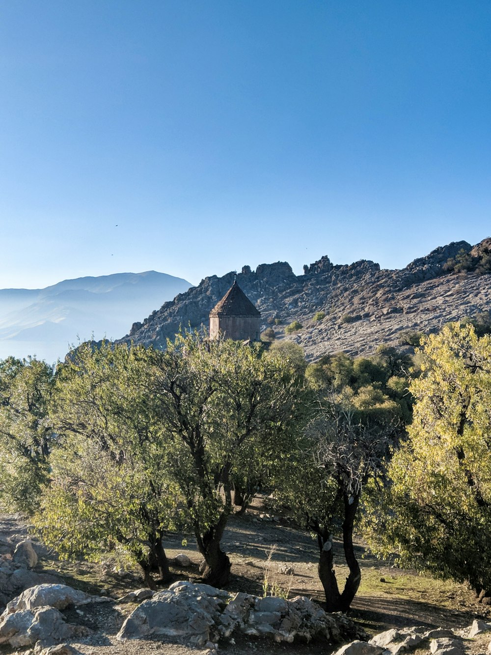 green trees near brown mountain under blue sky during daytime