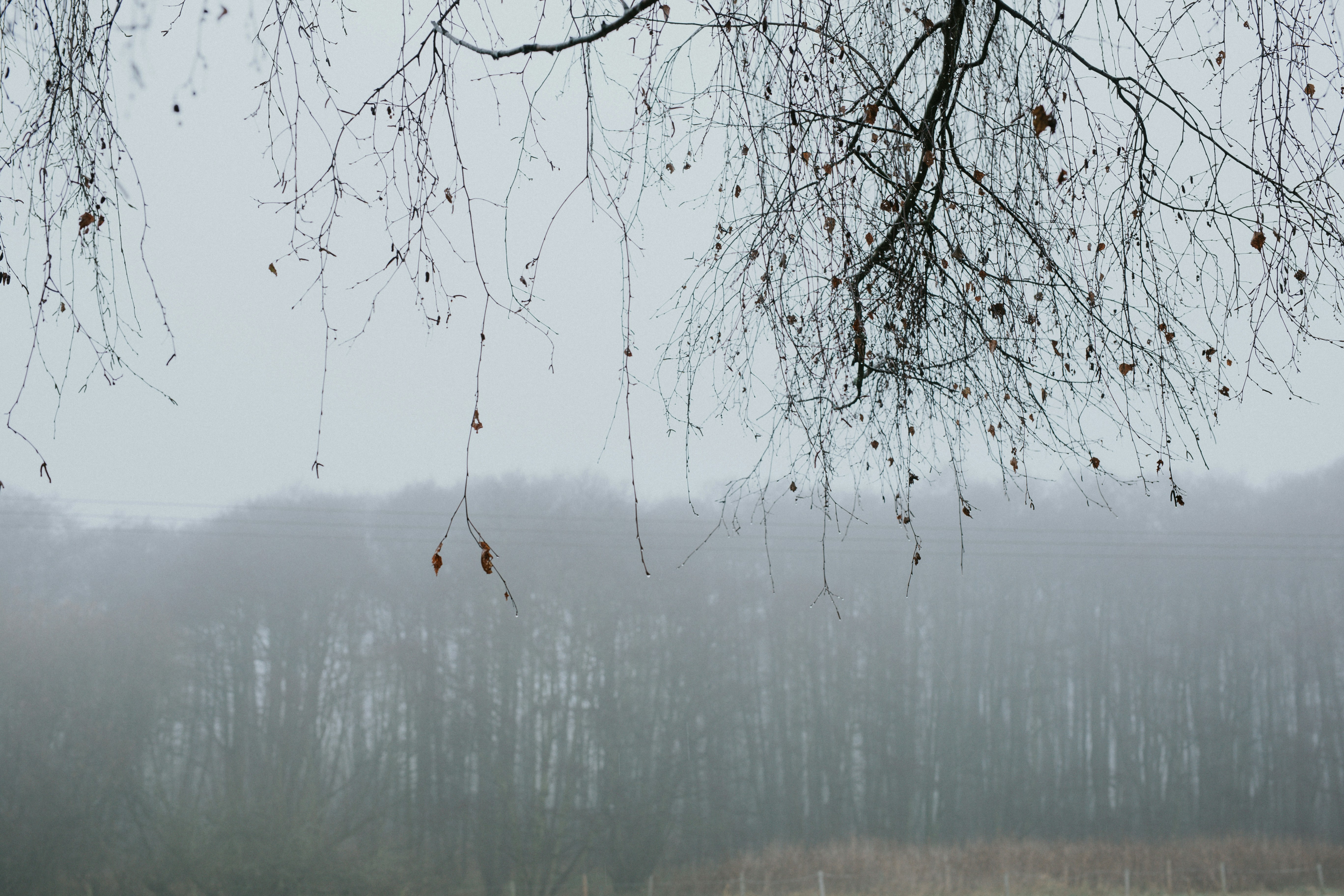 Photo by annabellalifestyle