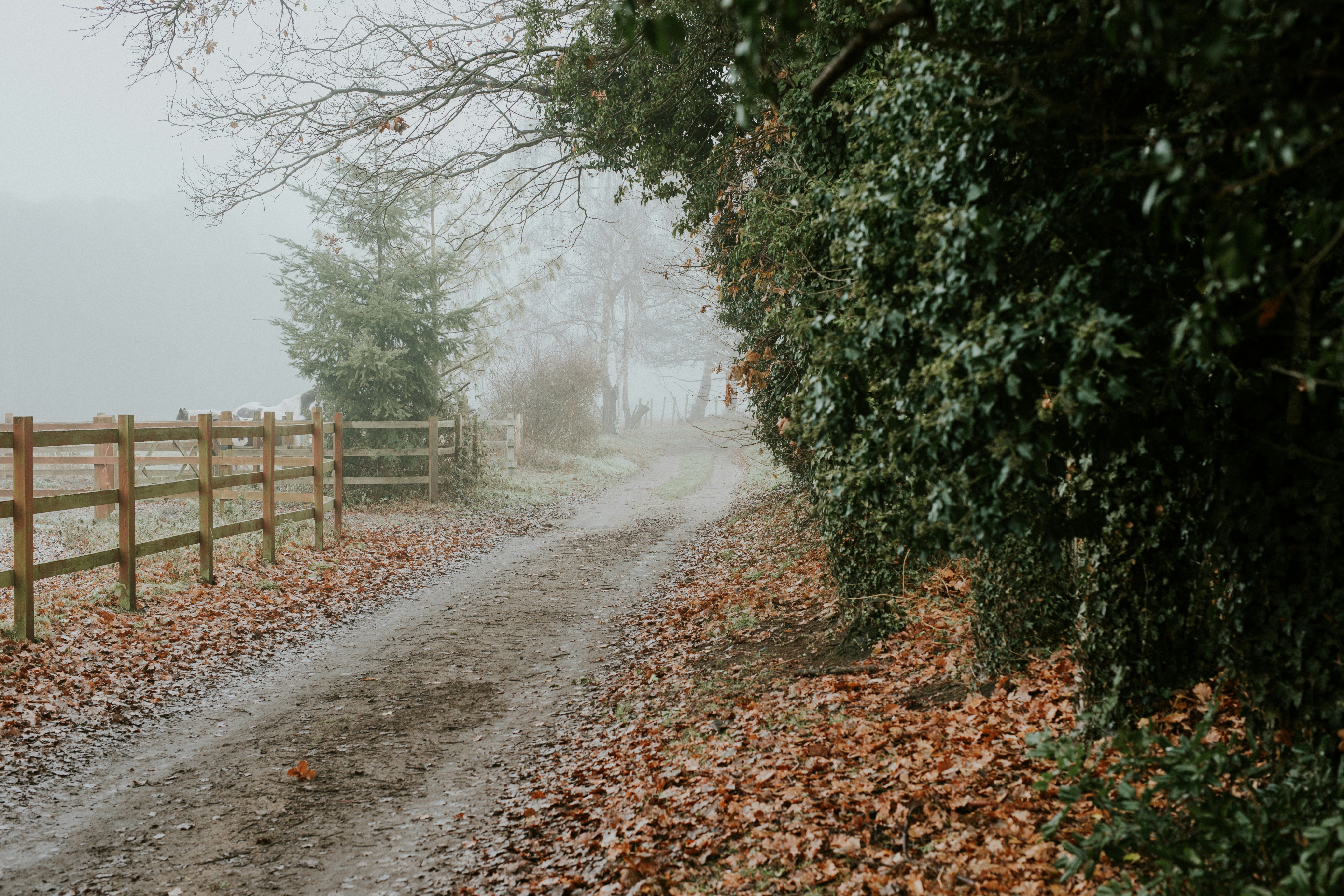 Photo by annabellalifestyle