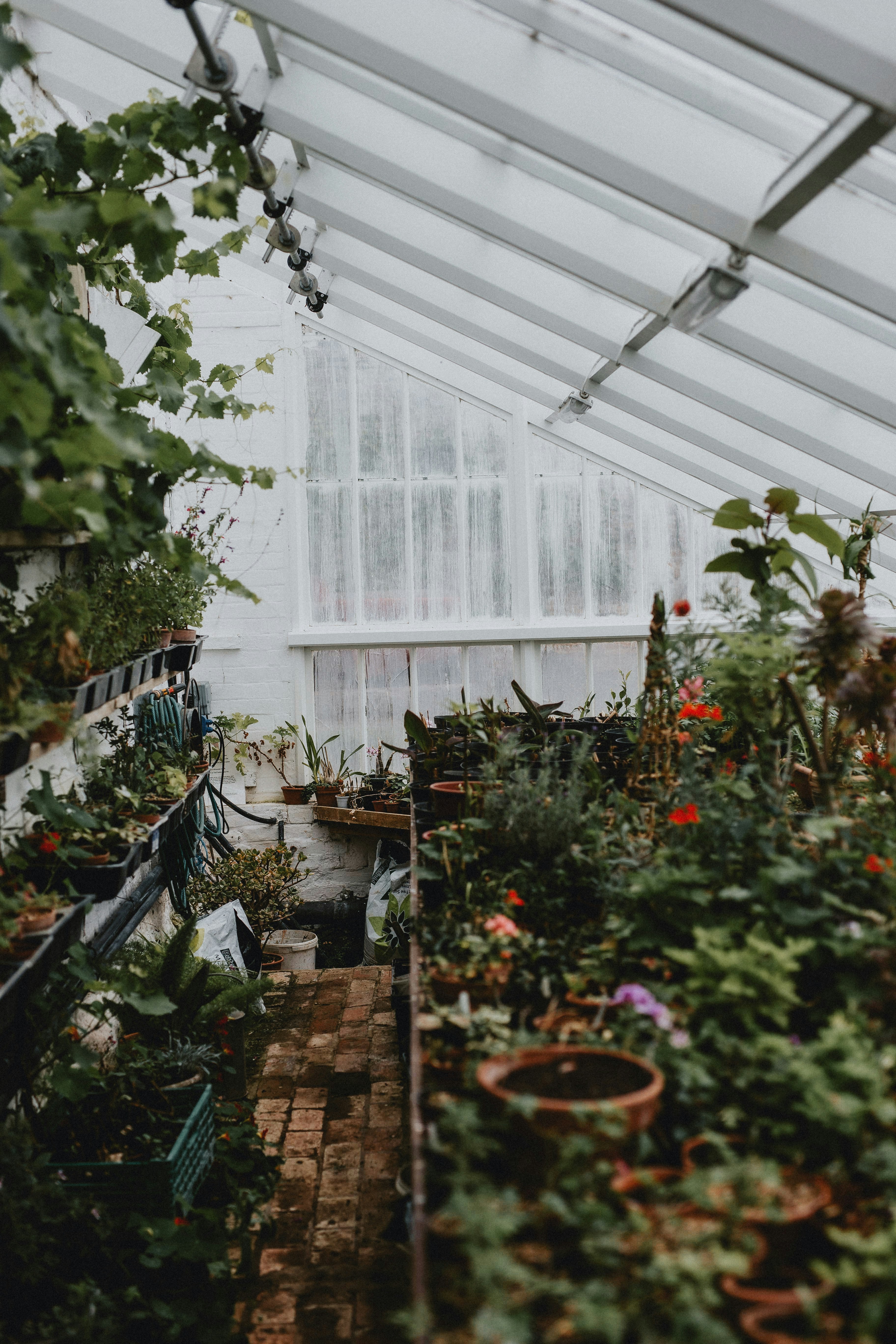 Photo by annabellalifestyle