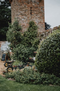 A rustic garden scene with hands planting seedlings in rich soil surrounded by terracotta pots and mossy greenery