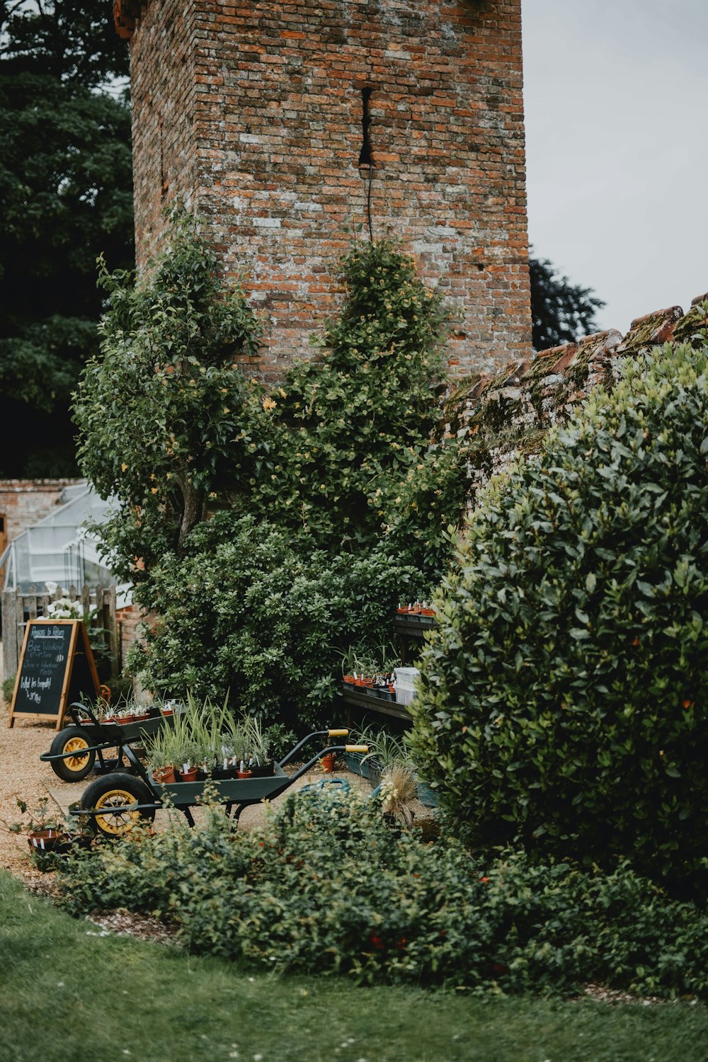 black bicycle parked beside green plant