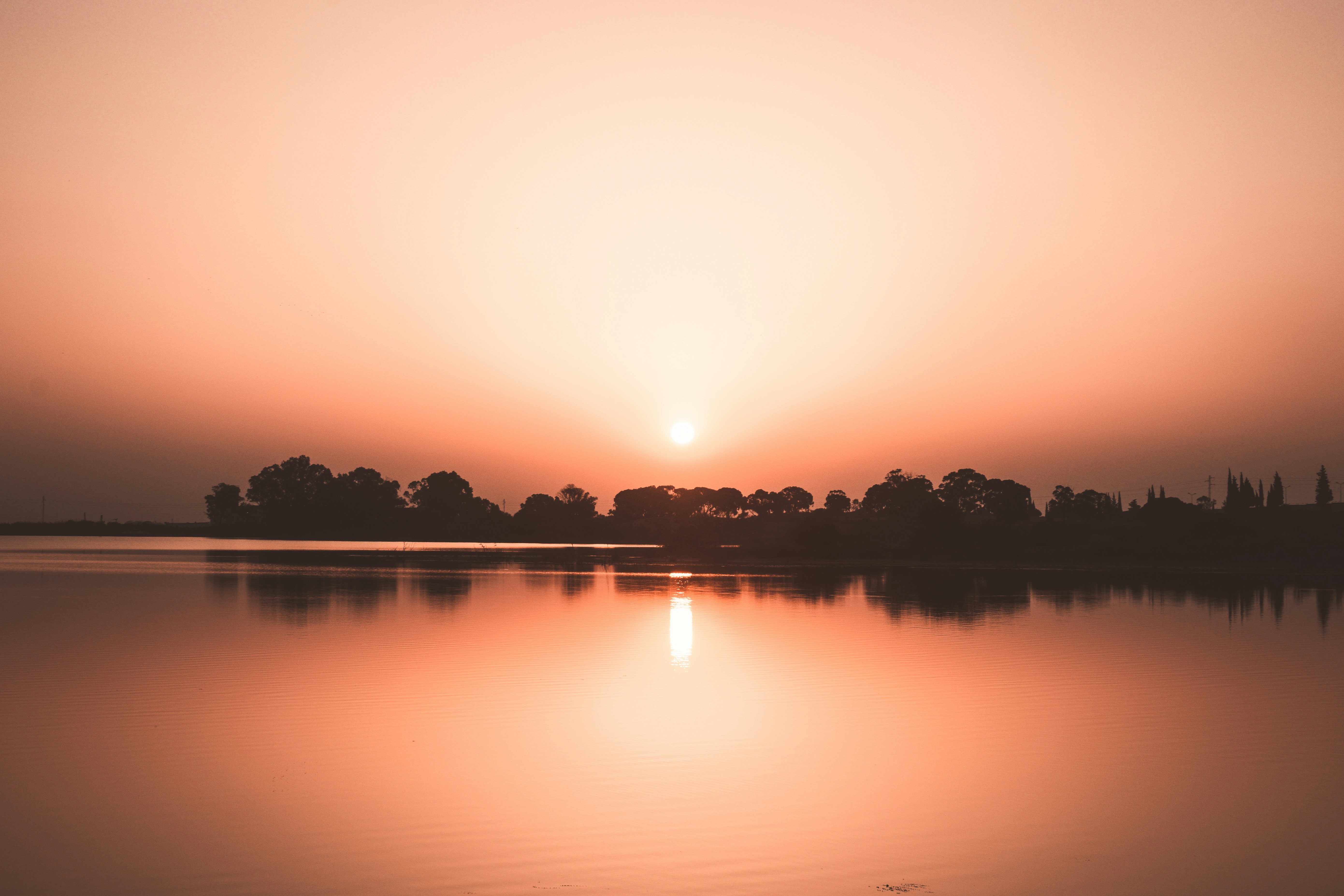 Photo by bilal_ayadi