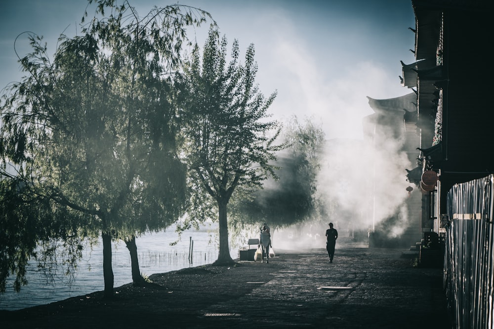 people walking on park during daytime