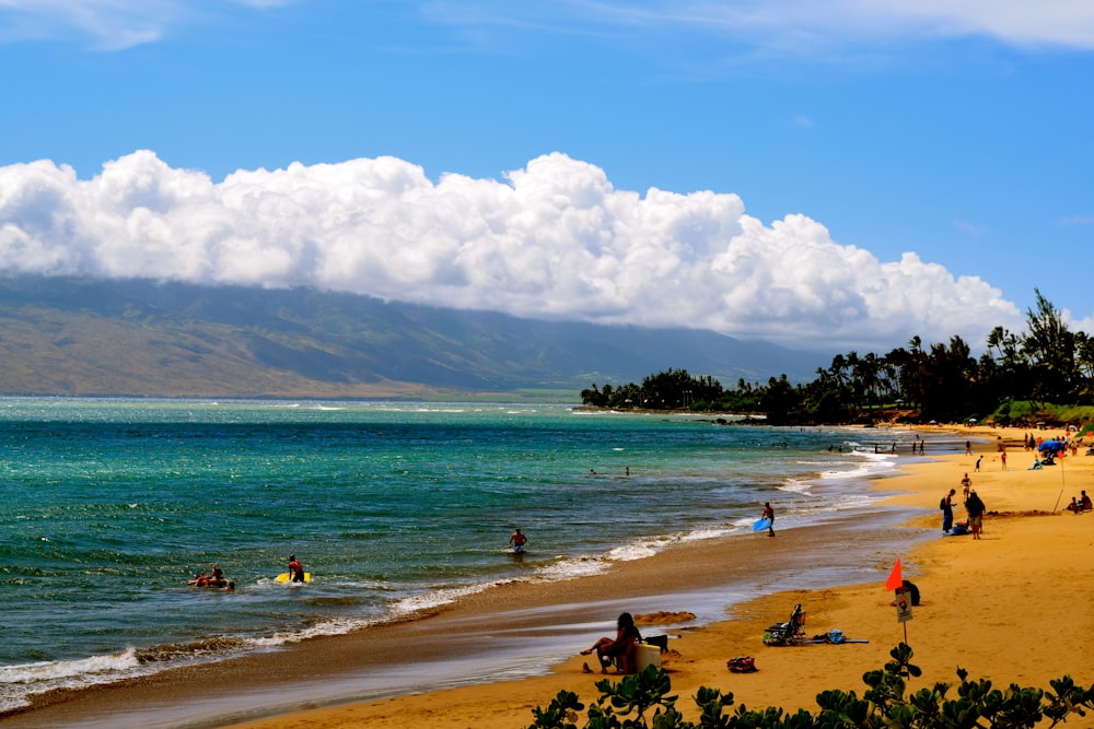 people on beach during daytime