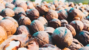 Afghan Walnuts