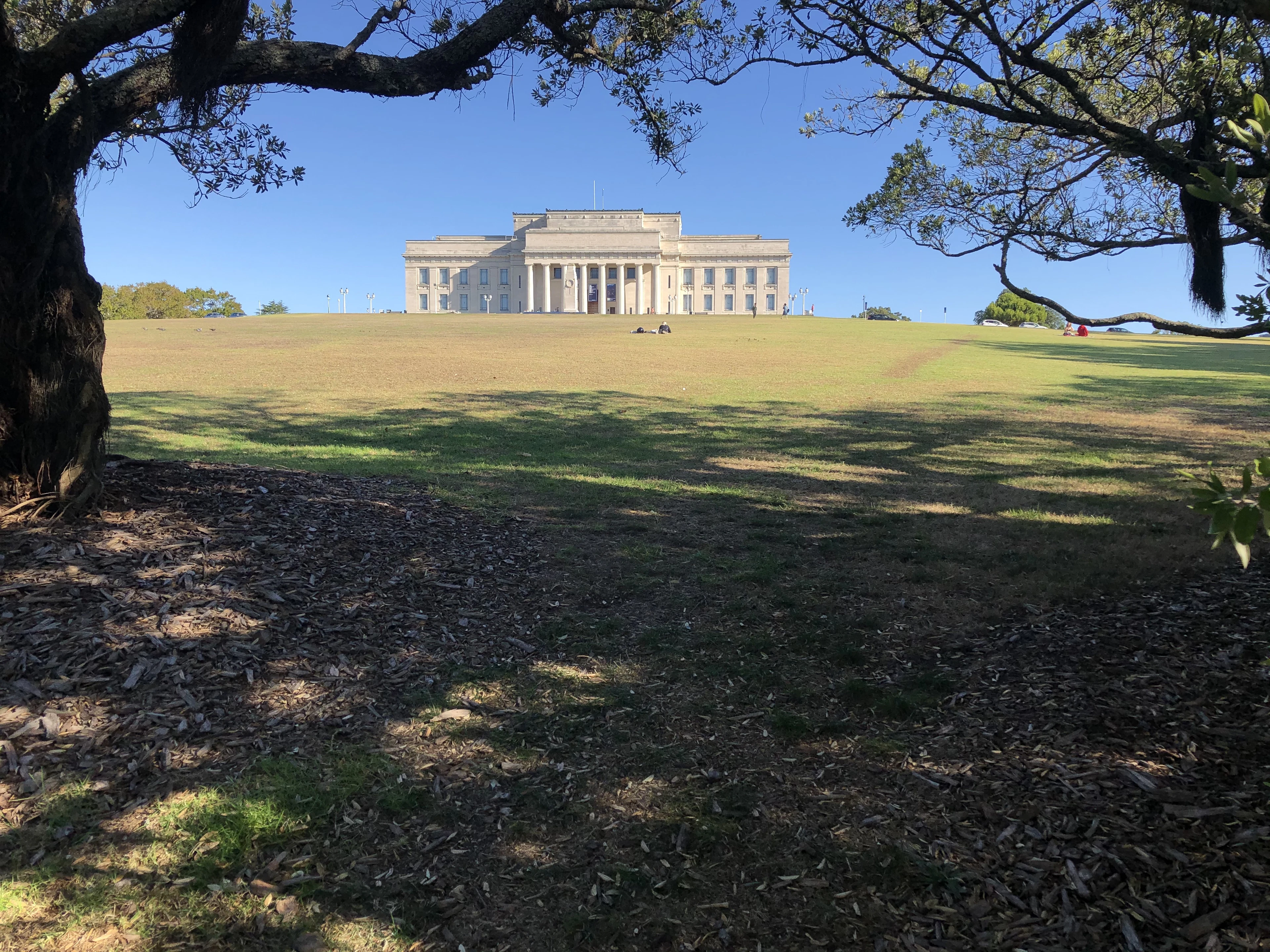 Auckland War Memorial Museum framed between tree branches across a sunlit lawn.