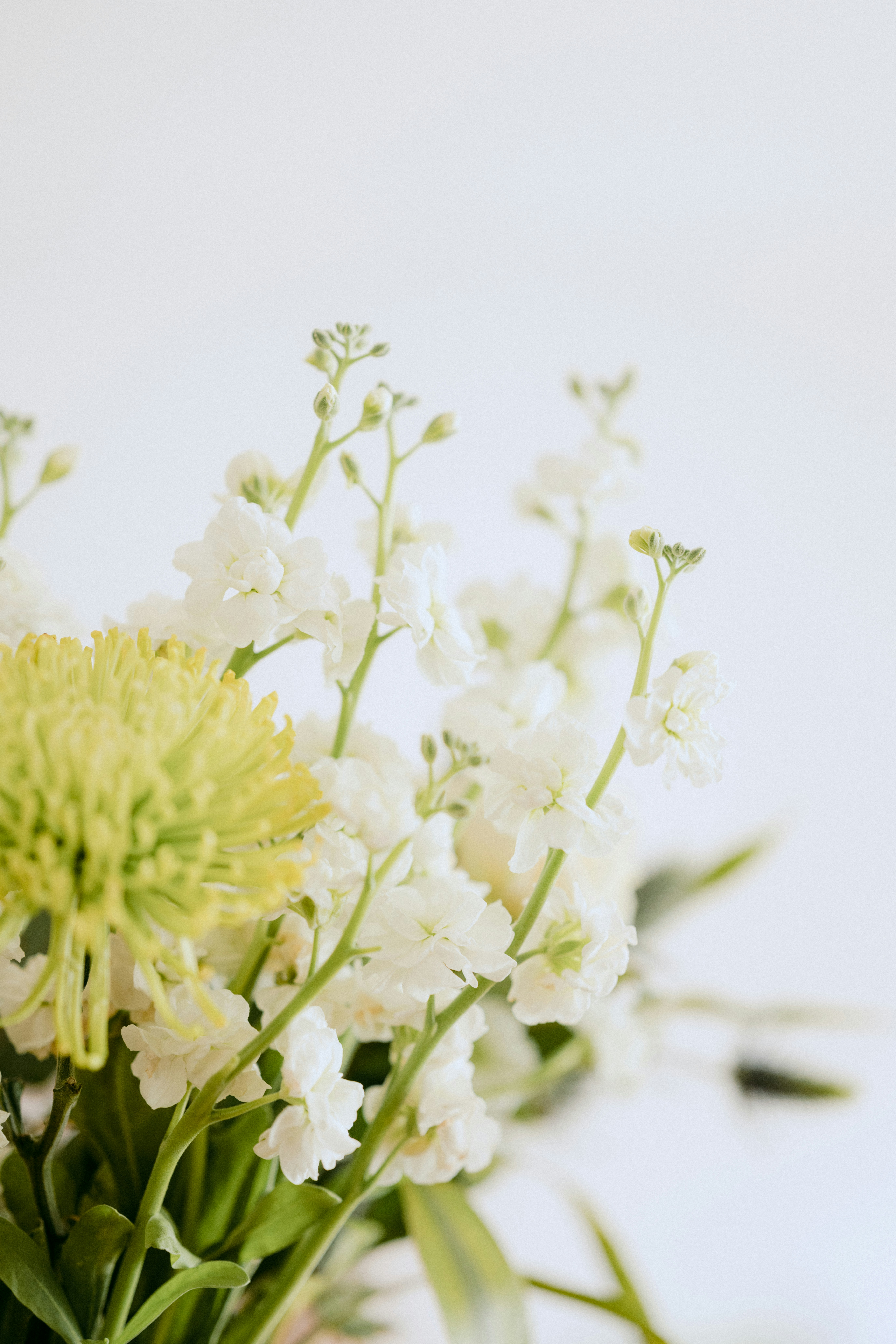 Photo by anniespratt