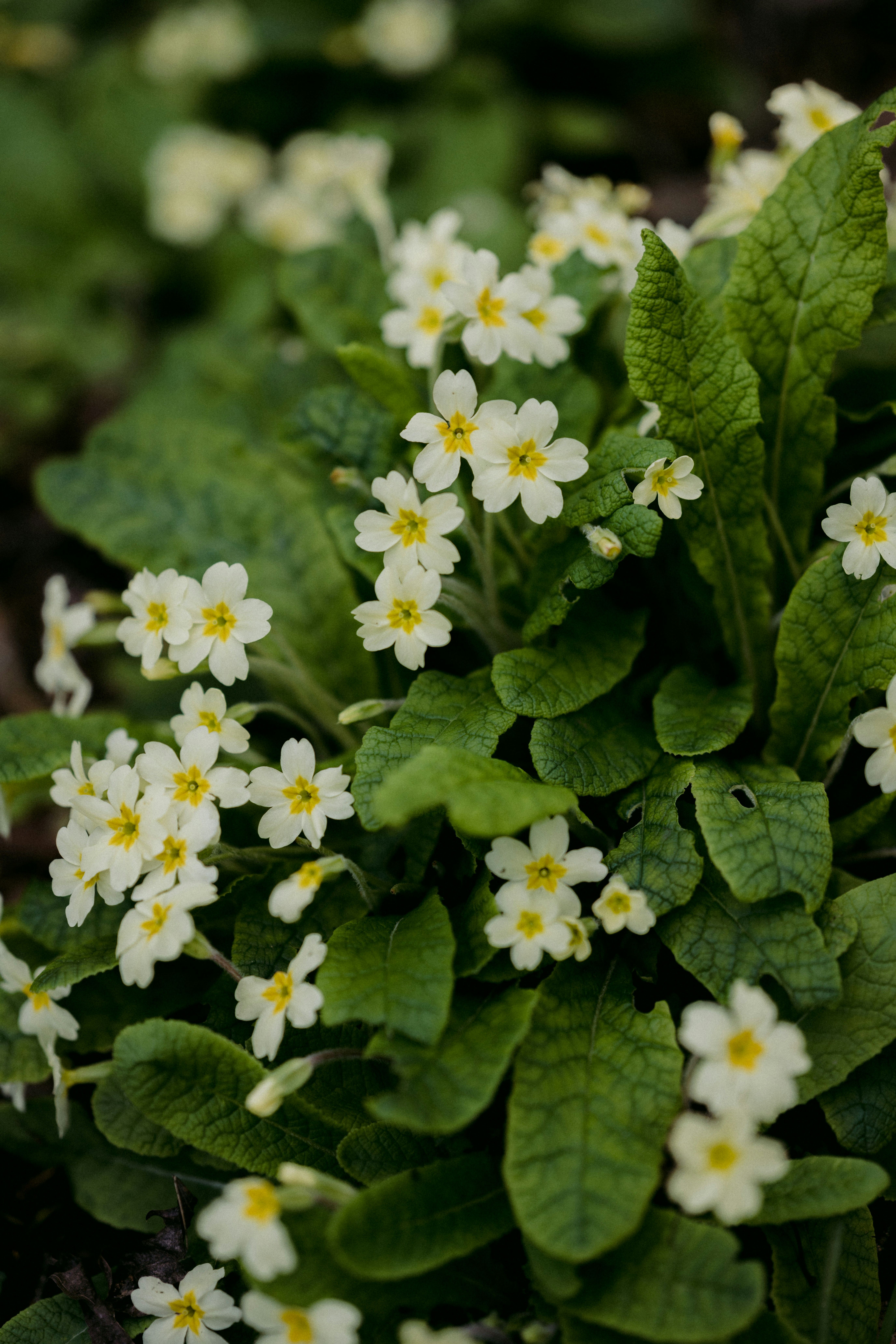 Photo by anniespratt