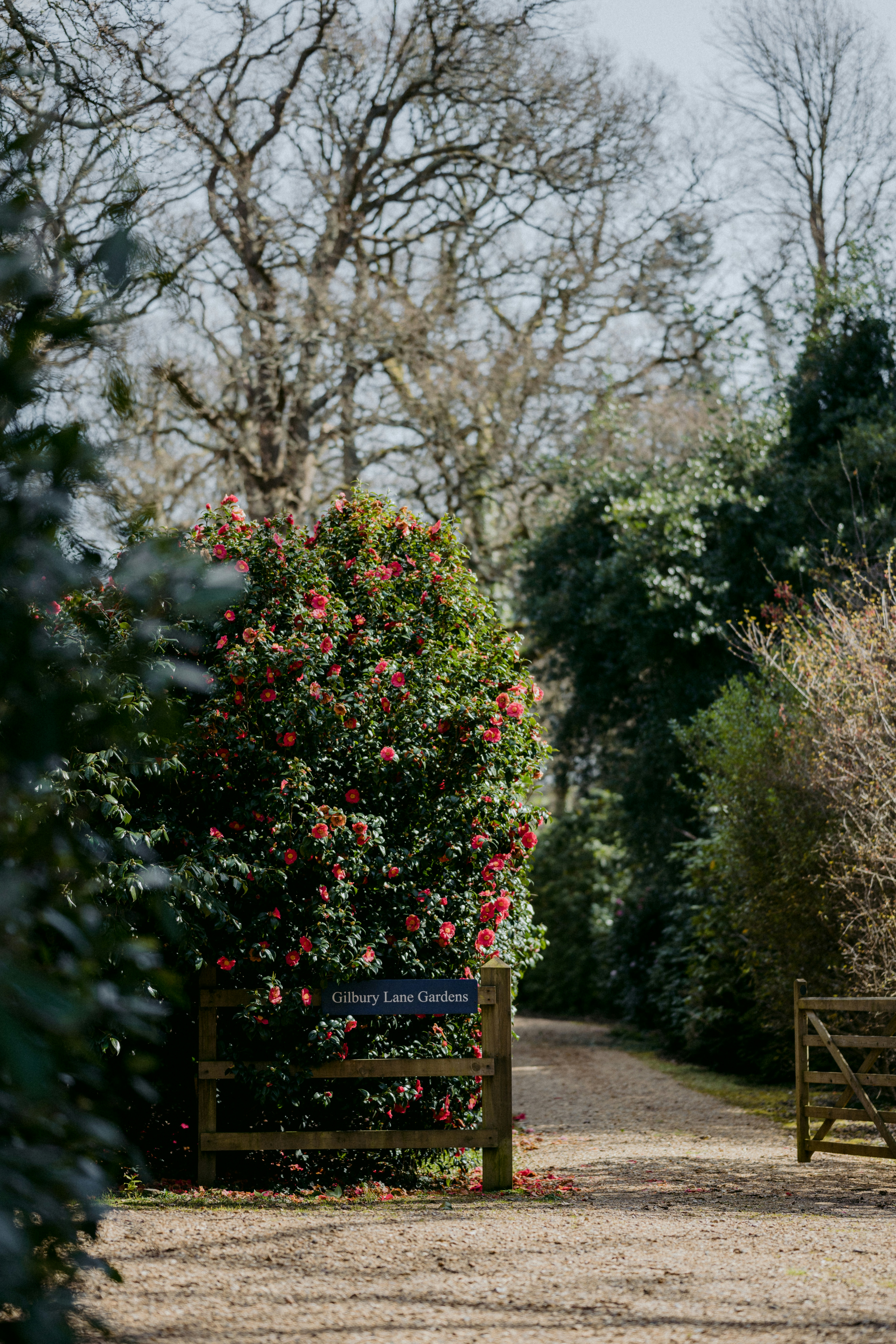 Photo by anniespratt