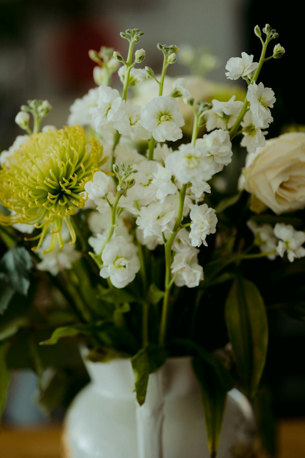 white flowers with green leaves