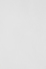 white wall paint with black line