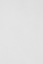 white wall paint with black line