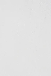 white wall paint with black line