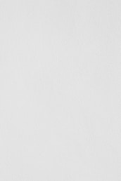 white wall paint with black line