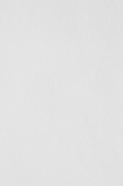 white wall paint with black line