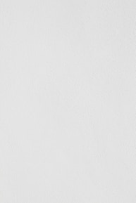 white wall paint with black line