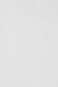white wall paint with black line