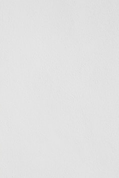 white wall paint with black line