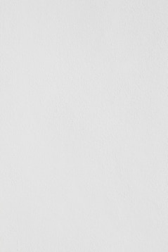 white wall paint with black line