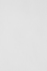 white wall paint with black line