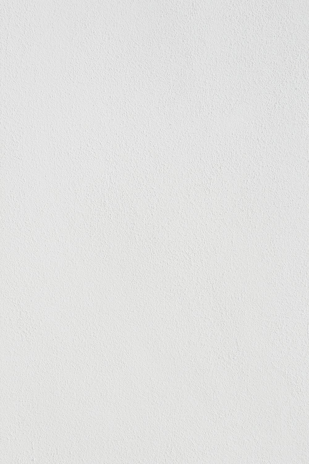 white wall paint with black line