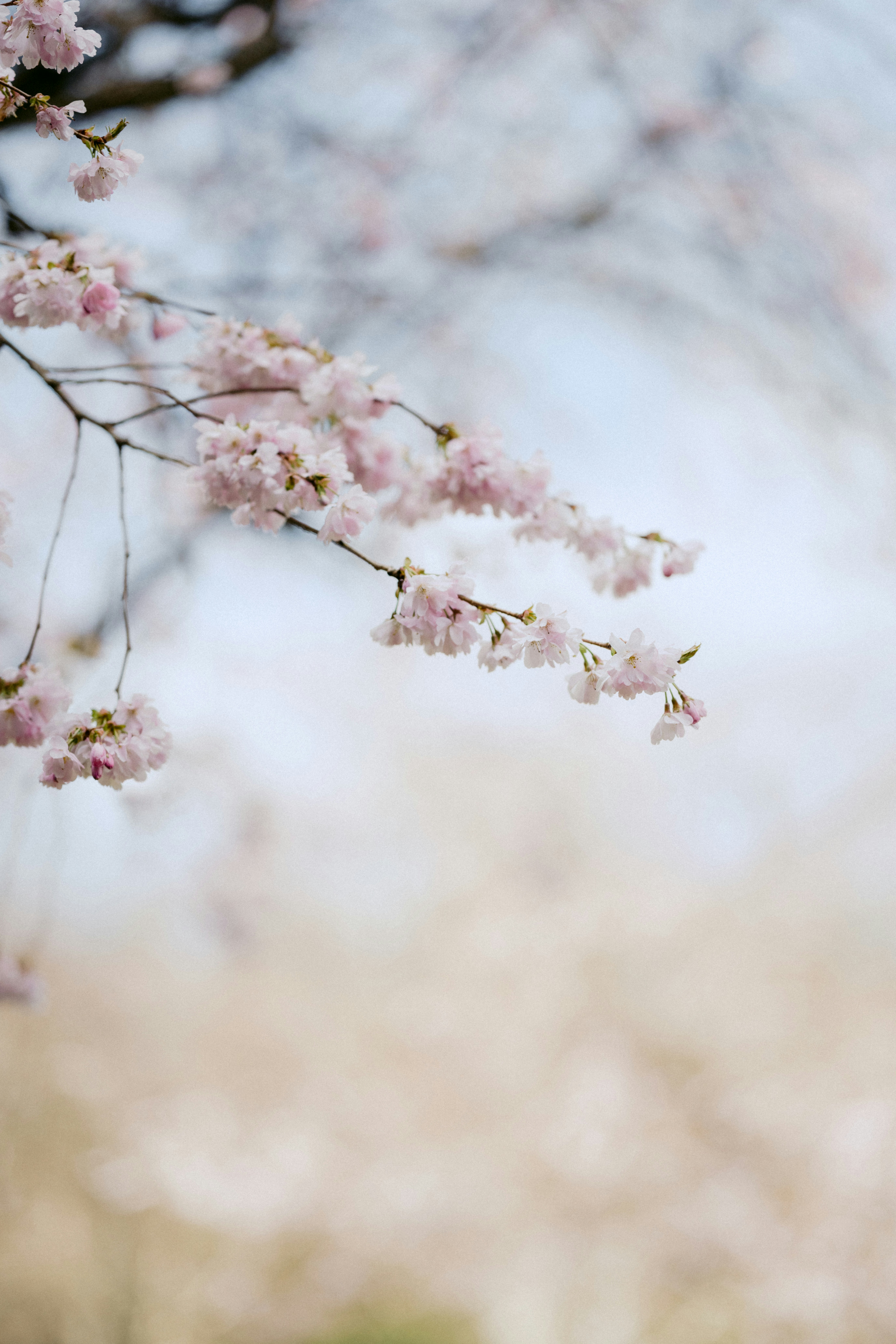 Photo by anniespratt